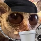 lil nigga2