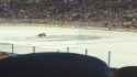 PXL_20241012_045950041.LS_thumb.jpg