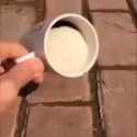 1731088668498742_thumb.jpg