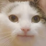 1732818351223966