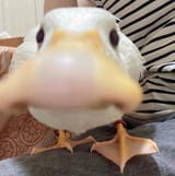 1727267705949462