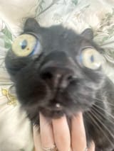 1667199558445589