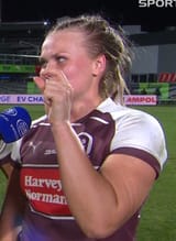 how big is irish