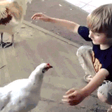 chicken hug