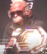 FigMonkey