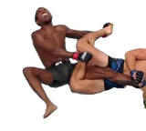 Heel Hook