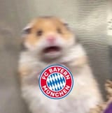 panic