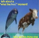 1218947925977995