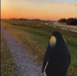1620755974401