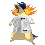 Typhlosion__Pokemon_Yankeescap
