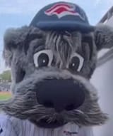Somerset_Patriots_Mascot_Search_2025_06_04