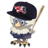 Rufflet__Pokemon_Patriotscap