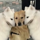 1750258791873086