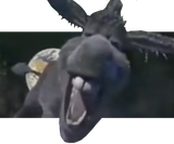 hu