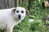 smil