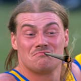 harleyweed