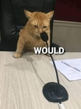 would