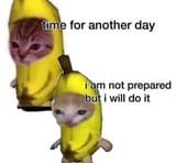 1691616020529362