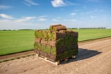 istockphoto-1019566348-612x612