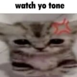 1721648091673484