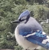 1720906707511000
