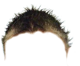 1732078027144715