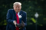 Trumpbaseball