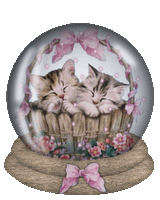 kittens1