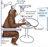 restraint-chair-recording-electrode-juice-reward-mechanism-back-75-minor-success-or-failure-s-over