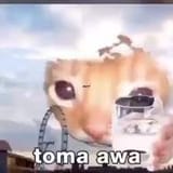 171023912