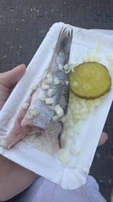 dutch eat like an alley cat