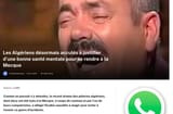 fares ziam
