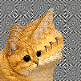 1726502649992701