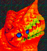 1728010561683397