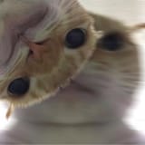 1662319010354216