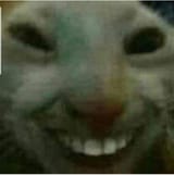 1652566870992