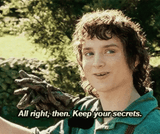 frodo-keep-your-secrets