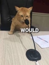 would_catg