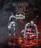 Jones vs Ngub