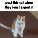 1746460581397081
