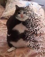 1529631049991