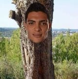 tronco