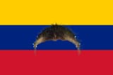JUSTzuela