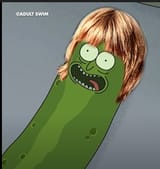 PaddyPickle