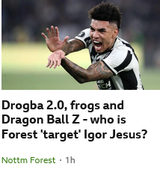 igor