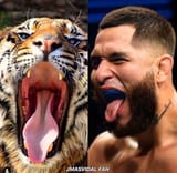 tiger meng