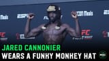funny monkey hat