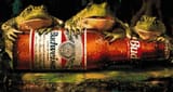 bud