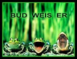 41d9233b16368fd9696694f4e1f904cd