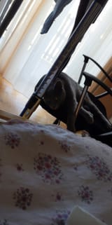 ResizedImage_IMG_20250623_182336